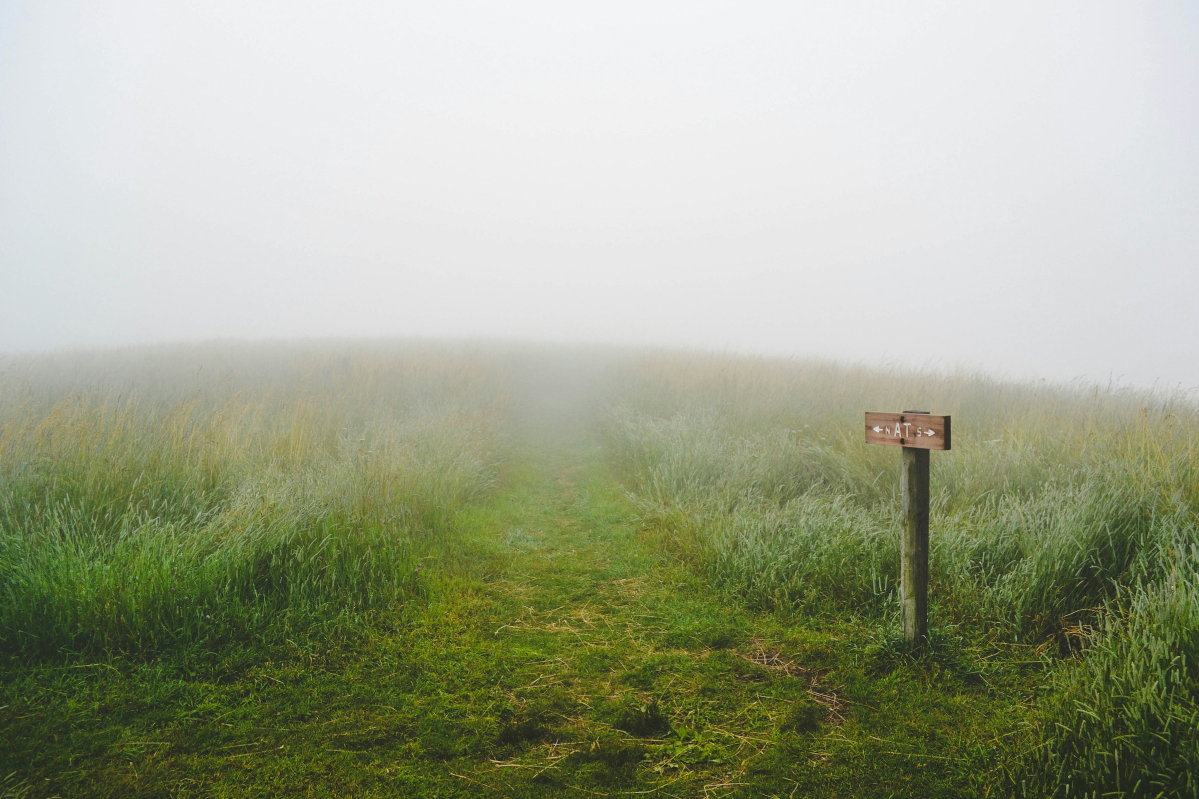 Evelyn Mostrom (Unsplash)