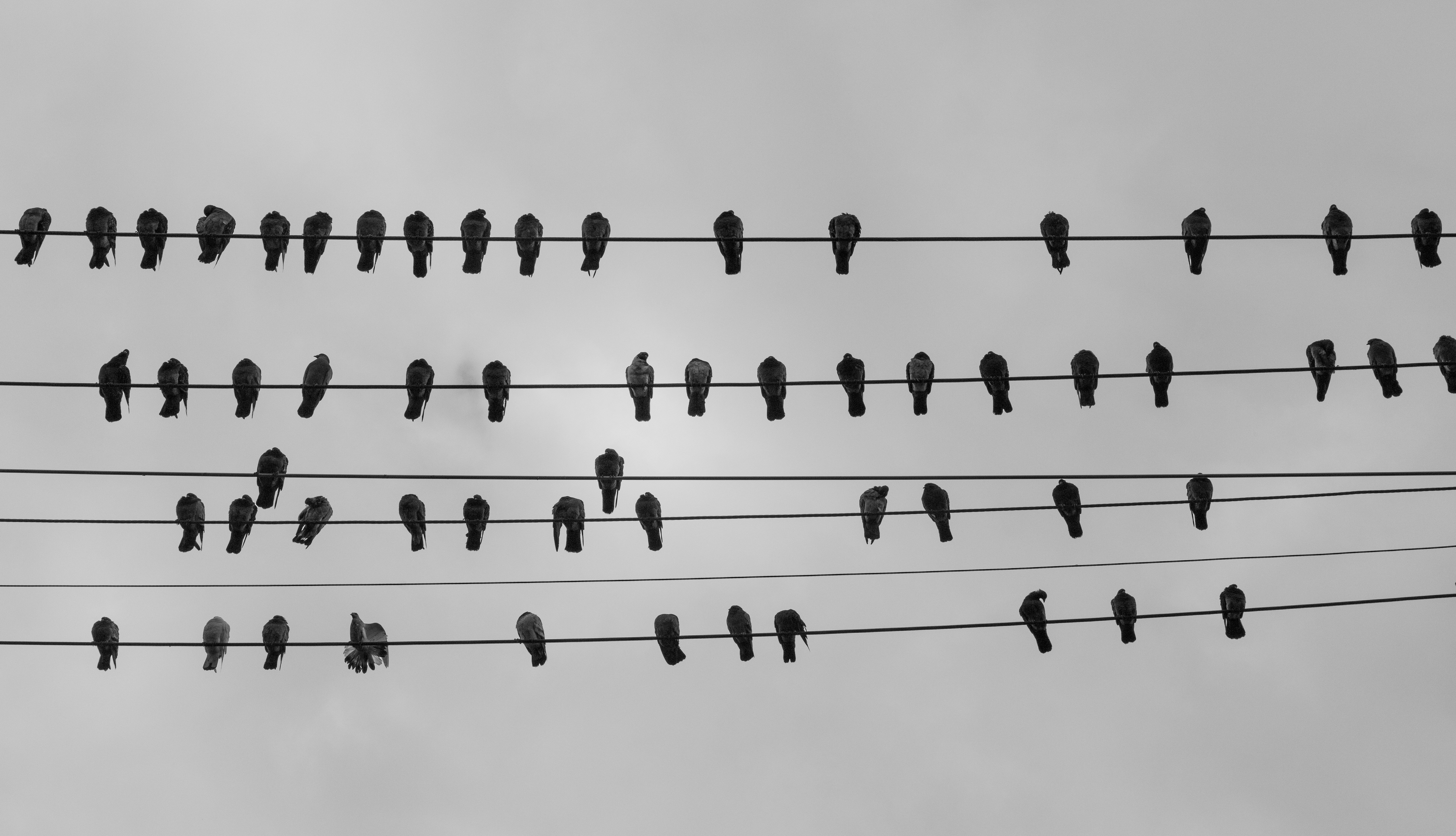 Mitchell Luo (Unsplash)
